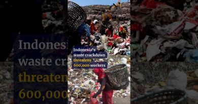 Indonesia’s waste crackdown threatens 600,000 workers