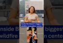 Inside Bordeaux’s biggest wildfire evacuation center | DW News