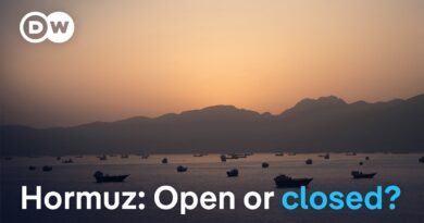 Iran says the strait of Hormuz is closed while Trump insists it’s not | DW News