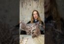 Iris van Herpen Reaches for the Stars
