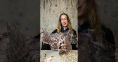 Iris van Herpen Reaches for the Stars