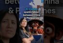 Is an AI monkey blowing up China-Philippine relations? | DW News