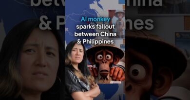Is an AI monkey blowing up China-Philippine relations? | DW News