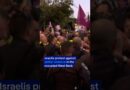 Israelis protest against settler violence in the occupied West Bank | DW News