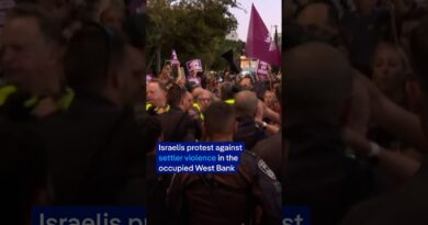 Israelis protest against settler violence in the occupied West Bank | DW News