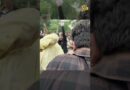 Jantar Mantar पर बैरिकैड फांद छात्रों ने मनाया धर्मेंद्र प्रधान के इस्तीफे का जश्न.