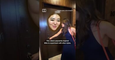Japan’s viral property agents get weird