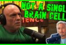 Joe Rogan’s Stupidity Is Spiraling Out Of Control | The Kyle Kulinski Show