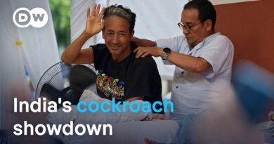Kidnapped or saved? Police remove Sonam Wangchuk | DW News