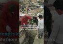 Kitten rescued from Venezuela earthquake rubble | DW News