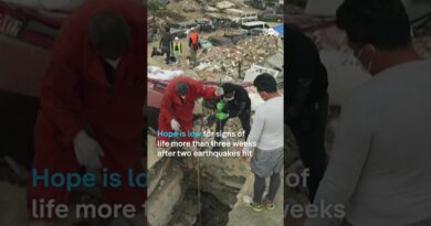 Kitten rescued from Venezuela earthquake rubble | DW News