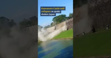 Kumamoto Castle wall collapses as quake shakes Japan