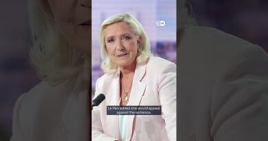 Marine le Pen stays in the presidential race | DW News