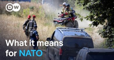 Missile crashes in Poland during massive Russian strike on Ukraine | DW News