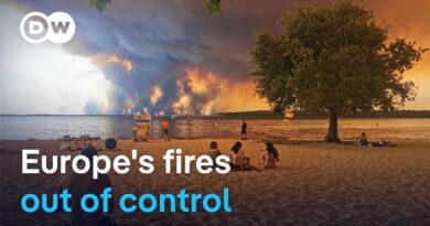 More than 250,000 flee as France and Spain battle unprecedented wildfires | DW News