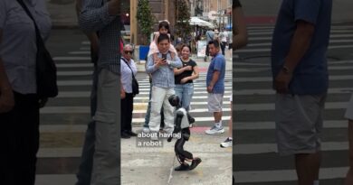 New Yorkers can actually buy these robots now🤖