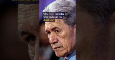 NZ foreign minister faces backlash for China slur