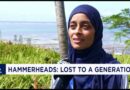 Our Ocean 2026: Key Takeaways from Africa’s Historic Ocean Summit