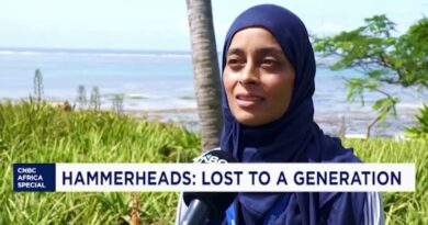 Our Ocean 2026: Key Takeaways from Africa’s Historic Ocean Summit