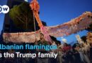 ‘Pink Flamingo’ protesters in Tirana demand resignation of PM Edi Rama | DW News