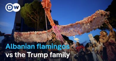 ‘Pink Flamingo’ protesters in Tirana demand resignation of PM Edi Rama | DW News