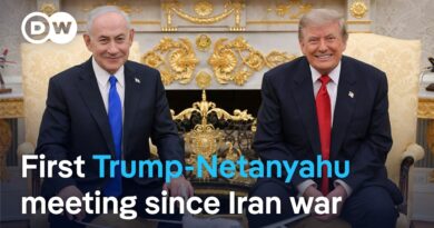 President Trump hosts back-to-back meetings in the White House | DW News