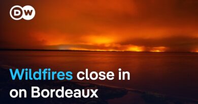 Pressure grows on residents of southern French city to flee wildfires | DW News