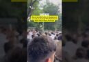 Rahul Gandhi Calls on Students to Join Sit-In Outside PM’s Residence; Delhi Police Block Protester