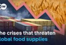 Record harvests but millions go hungry | DW News
