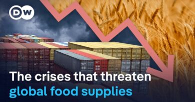 Record harvests but millions go hungry | DW News