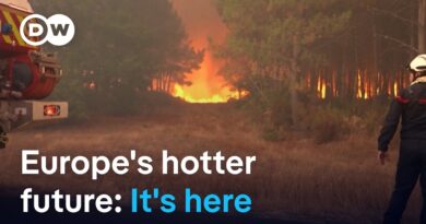 Record heat waves fuel wildfires and extreme drought in Europe | DW News