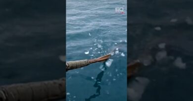 Recreating the exact Antarctic expedition of Ernest Shackleton in 1916 | 60 Mins Australia