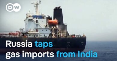 Reports: Russia imports Indian gas to tackle fuel shortages | DW News