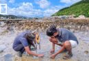 Rescuing Hong Kong’s biodiversity