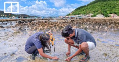 Rescuing Hong Kong’s biodiversity