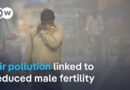 Research suggests air pollution harms male fertility | DW News