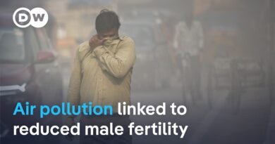 Research suggests air pollution harms male fertility | DW News