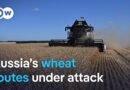Russia’s grain exports under pressure: Ukraine targets key shipping routes | DW News