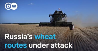 Russia’s grain exports under pressure: Ukraine targets key shipping routes | DW News