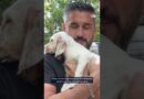 Saving the animals left behind by France’s wildfires | DW News