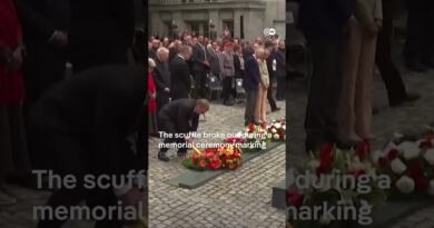 Scuffle during commemoration of failed Hitler assassination attempt over AfD wreath | DW News