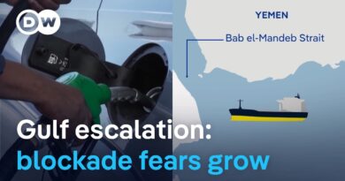 Shipping crisis expands to Red Sea as Hormuz traffic stands still | DW News