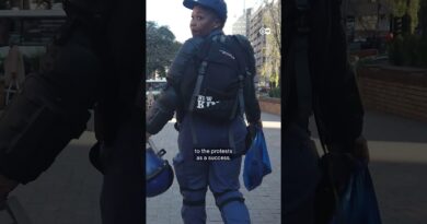 South Africa anti-immigration protests descend into looting | DW News
