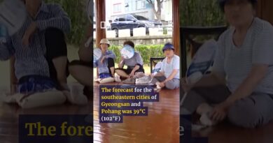 South Korea issues first emergency heatwave alert under blazing heat