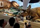Southern China’s biggest natural history museum opens in Shenzhen