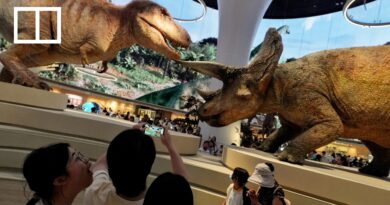 Southern China’s biggest natural history museum opens in Shenzhen