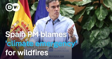 Spain and France struggle to contain blazes as the next heat wave looms | DW News