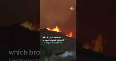 Spain’s deadliest wildfire in over two decades | DW News