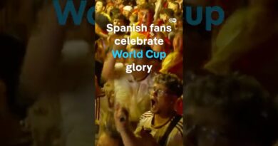 Spanish fans celebrate World Cup win in Madrid | DW News