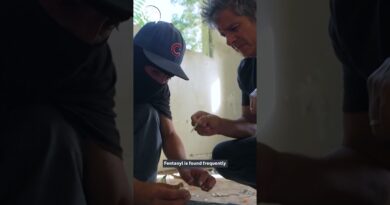 Testing for Fentanyl | #UnreportedWorld #PuertoRico #Crime
